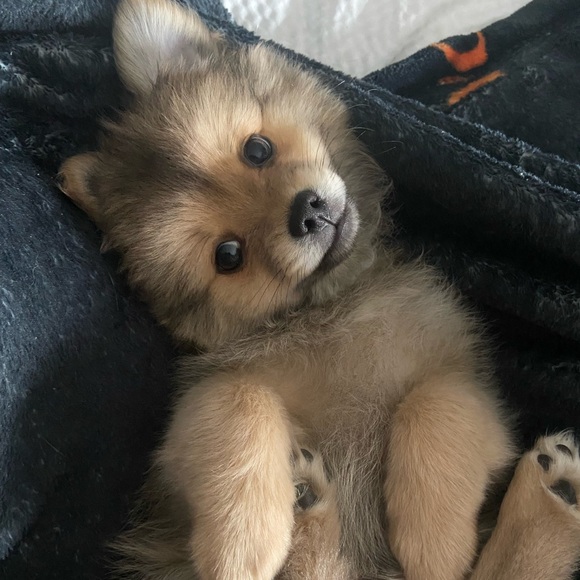 About me 🖤 - Picture 8 of 8